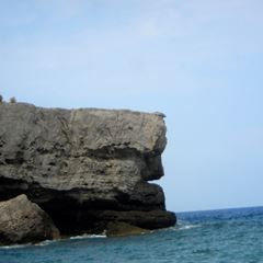 sos-vanda-photo-7